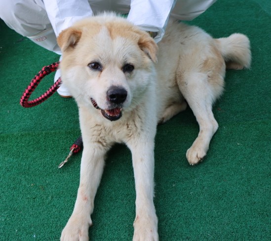 제주 동물보호센터_450650202500842